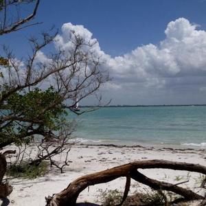 Meet your Posher, Gena